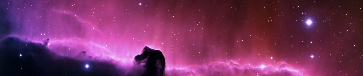 Magnus"Cradle" Wiege