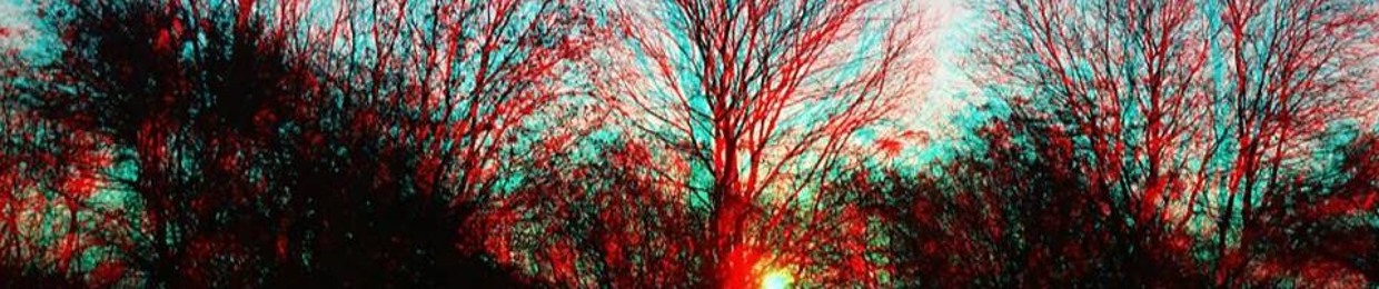 Miklos Eventual Trips