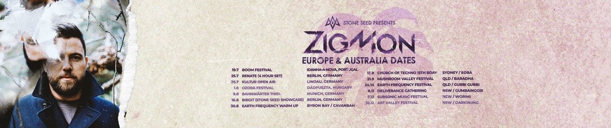 ZigMon