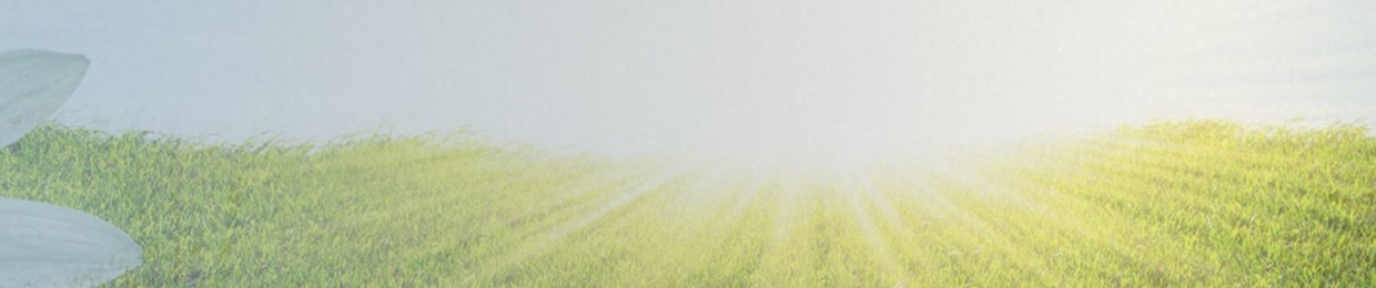 Spring to Life Kids Songs