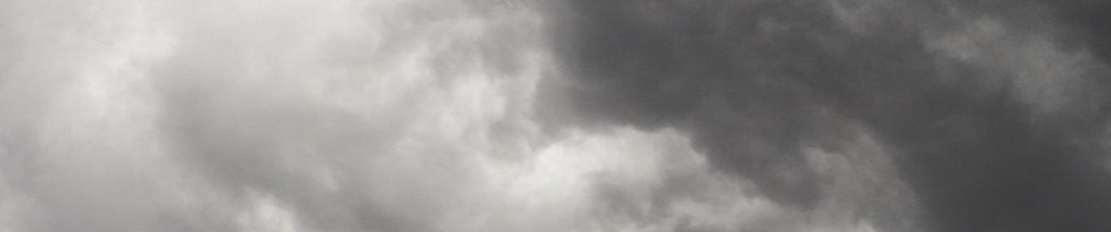 CORVUS COMPOSITION