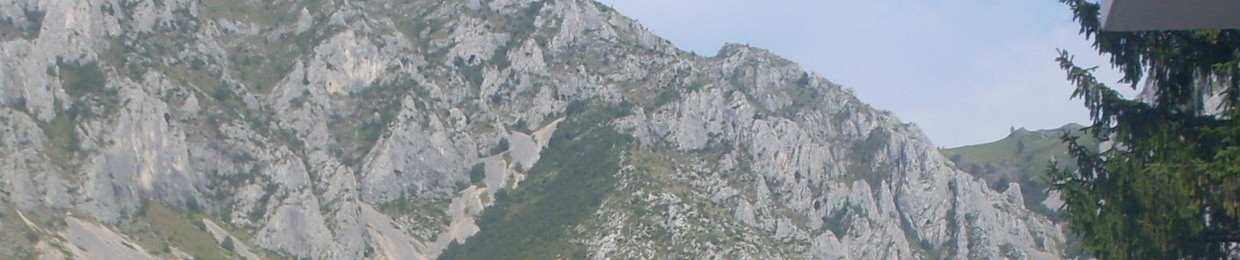 Csaba Rostás