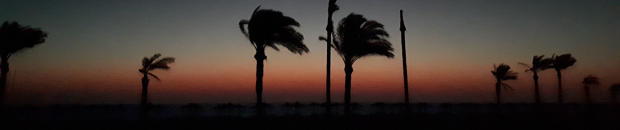 Ahmed El-Gammal