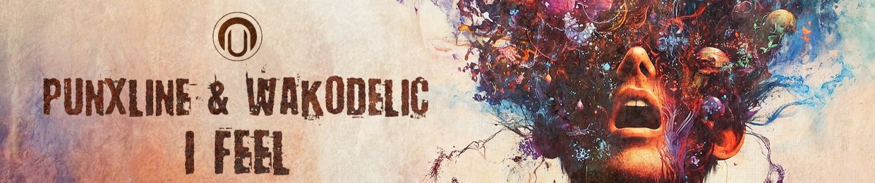 Wako-Delic π€π»