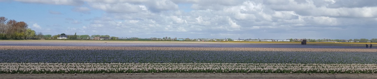 Agi