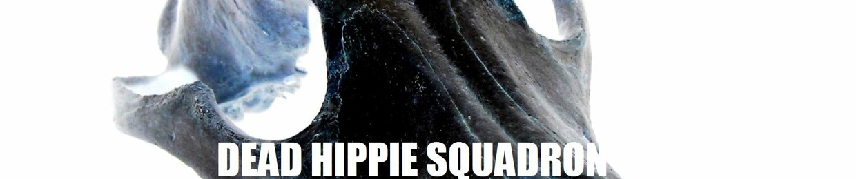 Dead Hippie Squadron