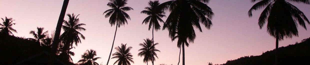 Summervibes