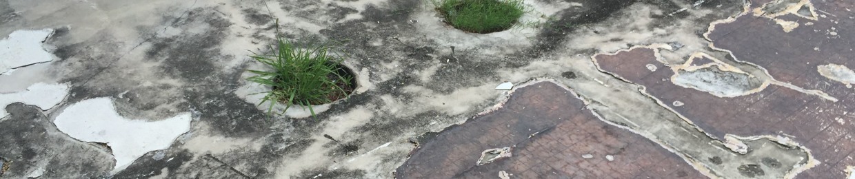 steelyDanimaL(AightDehn)