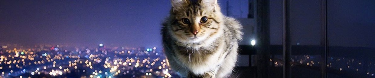 DubKitteh