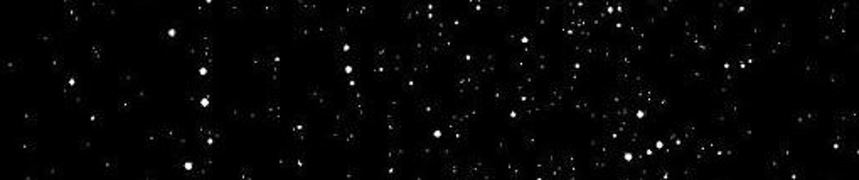 Polynomial