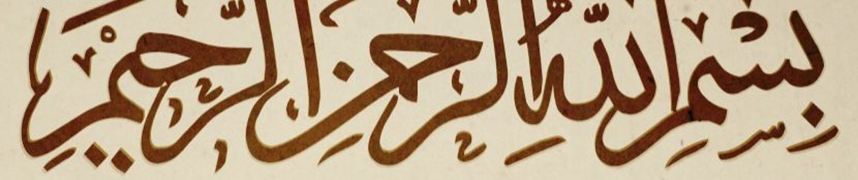 Sherif ElZoghby