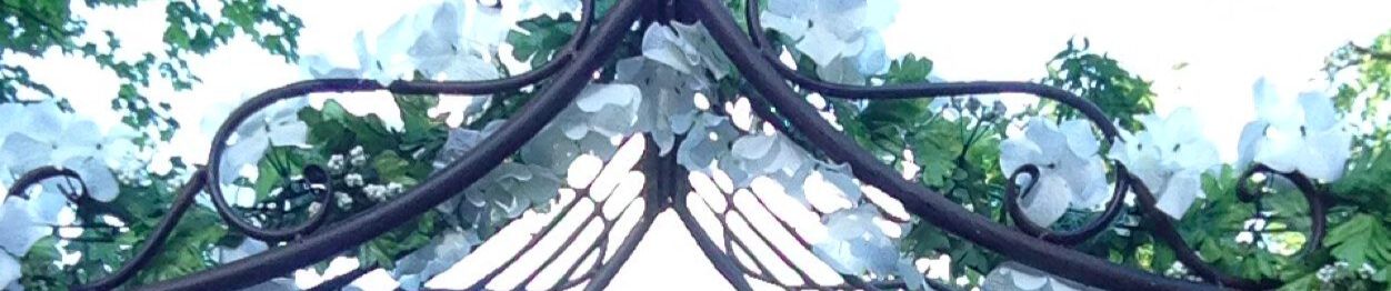 SoundCloud banner for @laura