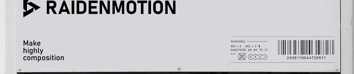 RaidenMotion