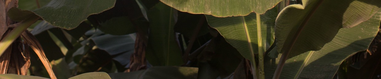 Siddharth Marlecha