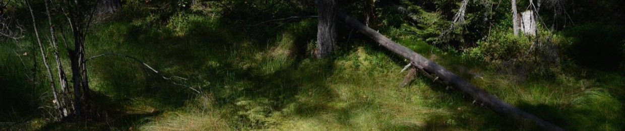 Madeleine Isaksson composer