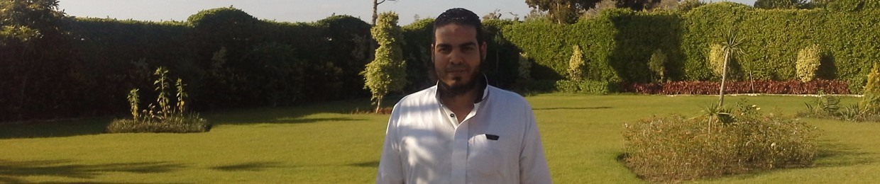 مصطفى الشولحي
