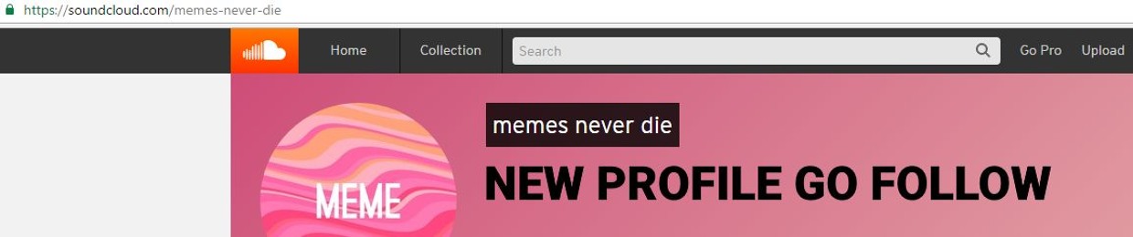 memes will never die (old account, go follow new)