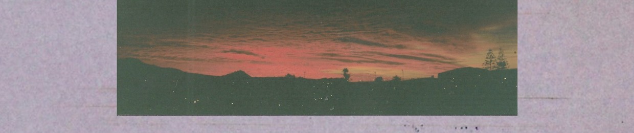 L I V S