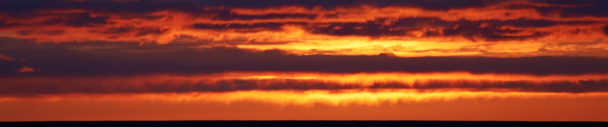 Jason Danial Lawrence