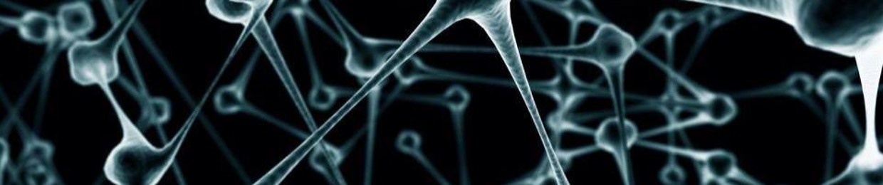 Julien Noise Verdier