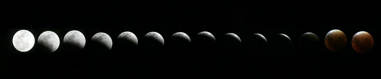 Wayne Woongju Moon