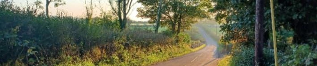 Randall Stephen Hall