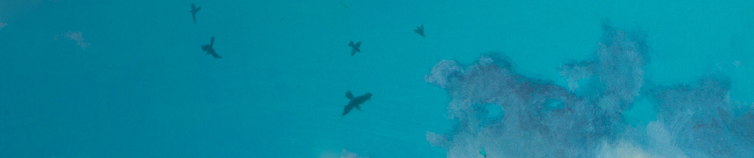 Stream Naoshum Eshei (demo) by The Koi | Listen online for free on  SoundCloud