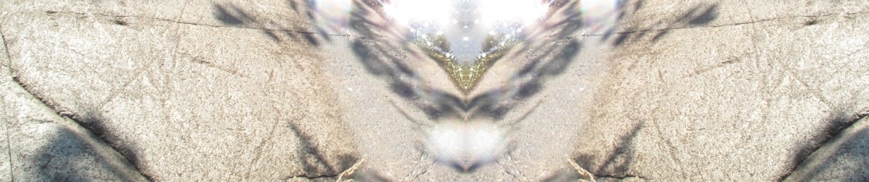 ∞fractal wings∞