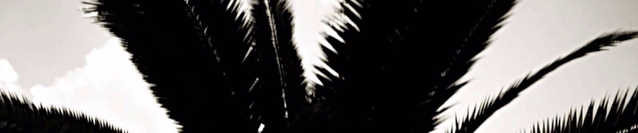 FuzzBR