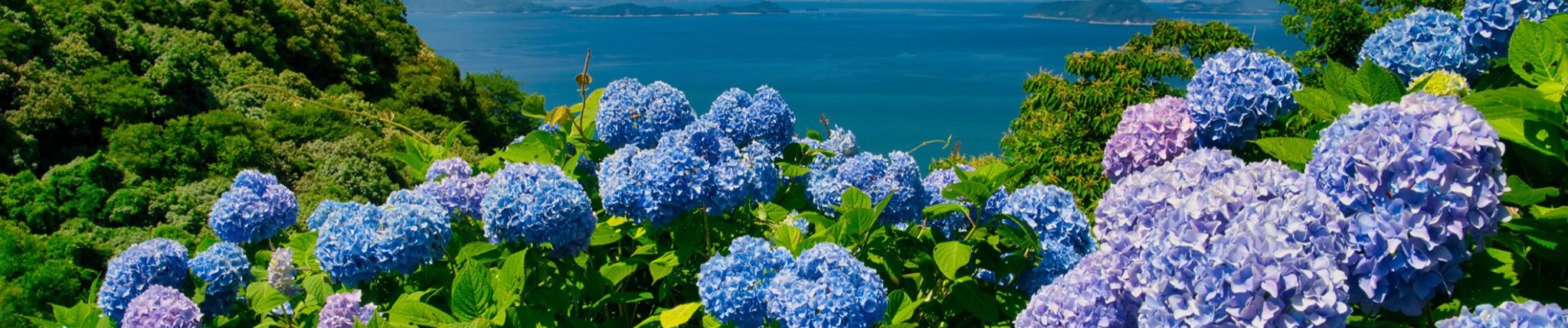 Stream 終電間際≦オンライン。 - escape by 花 | Listen online for