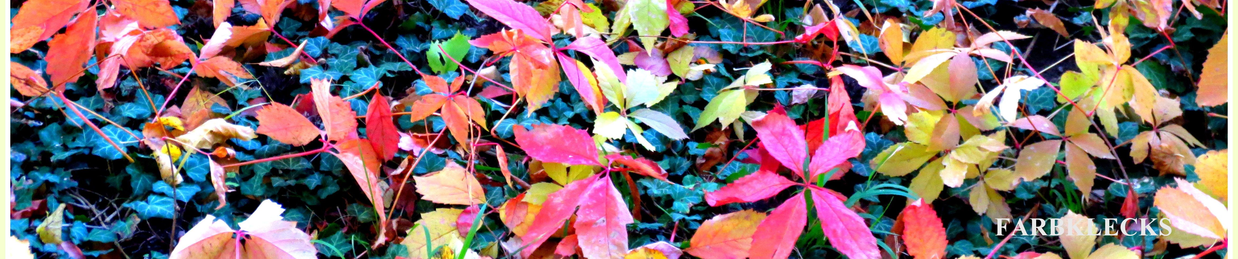 Stream Farbklecks | Listen to katie playlist online for free on SoundCloud, image size:4686x982