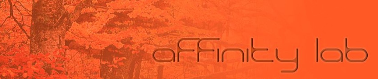 Affinity Lab