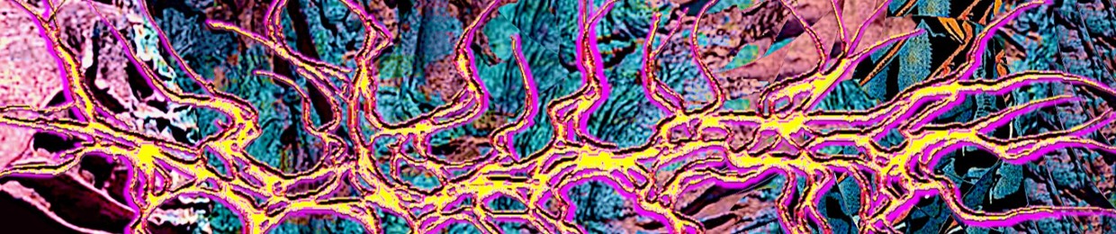 πΊπ¨πͺπ°π«