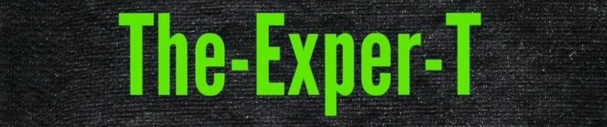 The-Exper-T