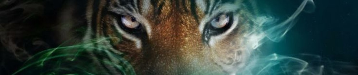 AwesomeTiger