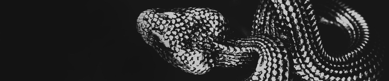 Dan Schultz