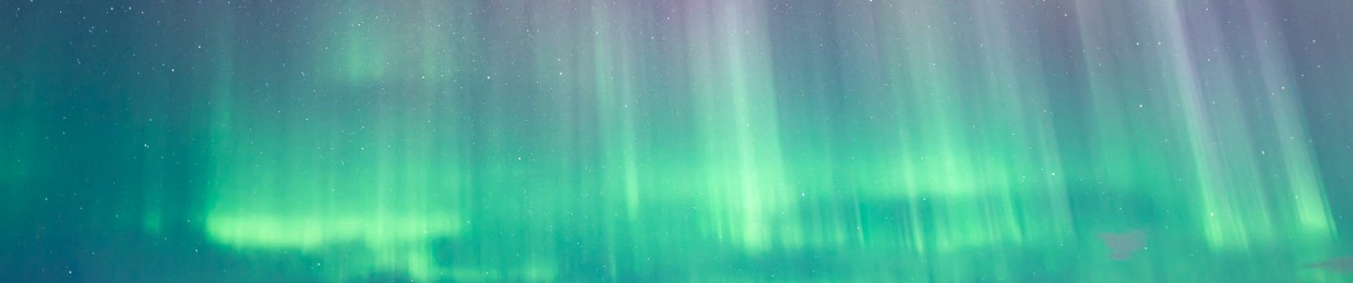 Anna Scheele ⚡ Dr Free