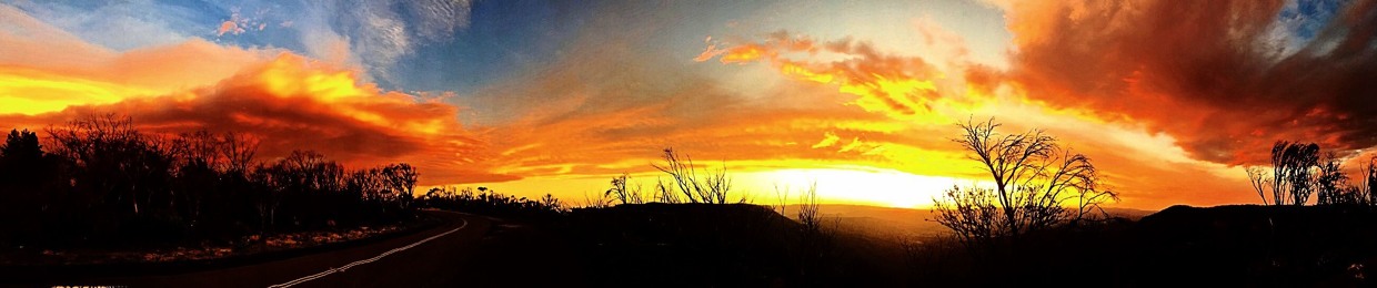 Dystopian Day Dreams