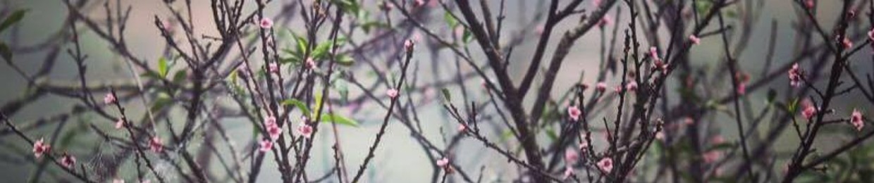 Khôi Khệnh Khạng