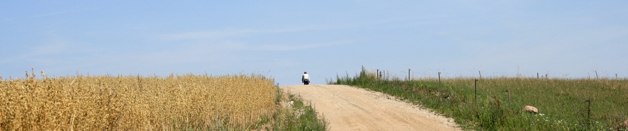 Krzysztof Kozłowski