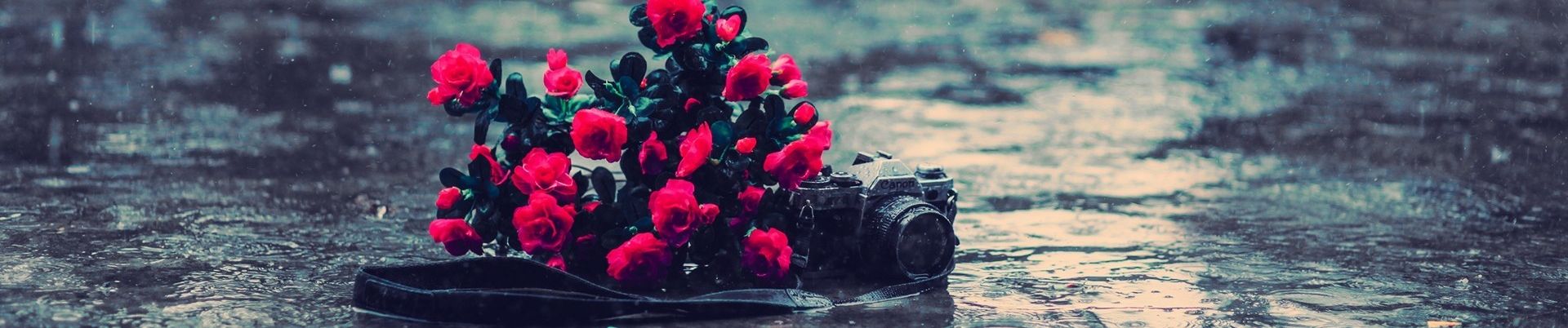 Piko Wasurenagusa æ­ã£ã¦ã¿ã Tegami Bachi Reverse Ed 01 By ã¡ã¼ã soundcloud