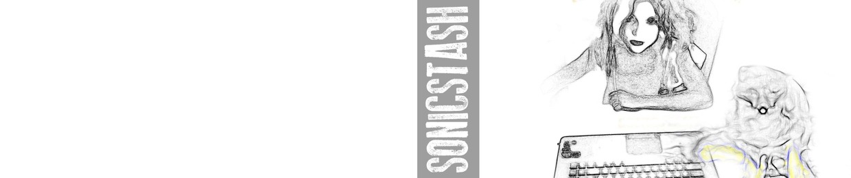 SonicStash