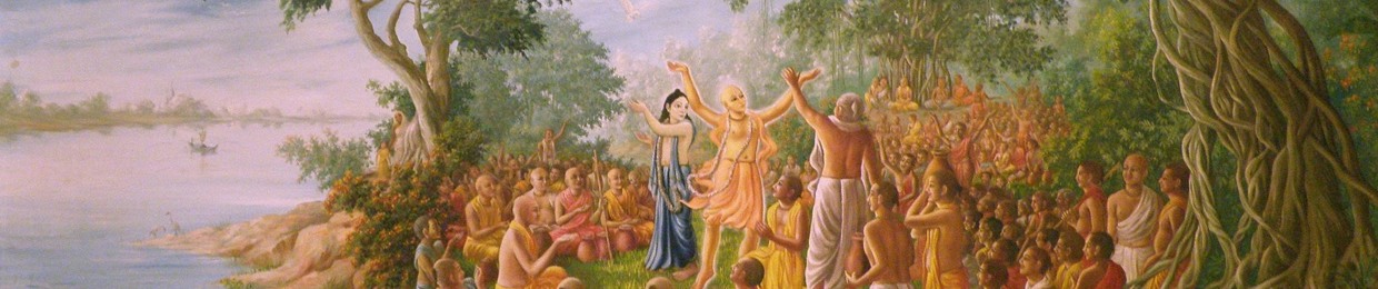 Krishna Leela dd