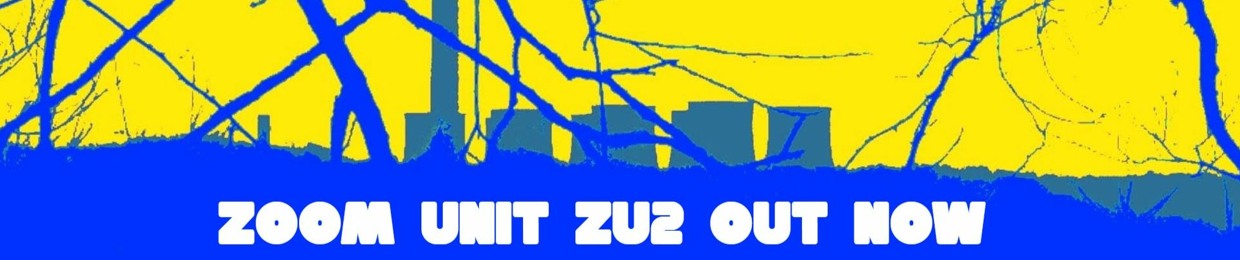 Zoom Unit