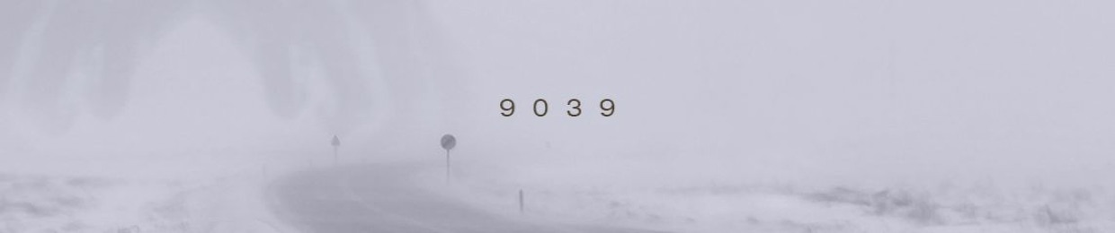 9039