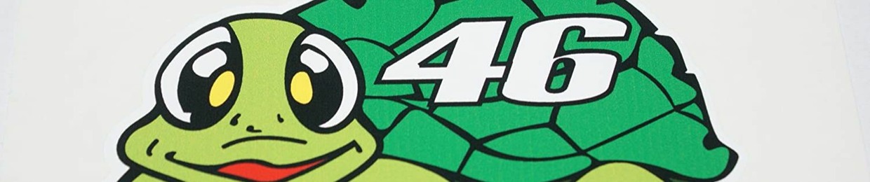 turtle046