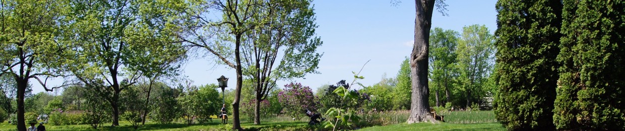 EJArt