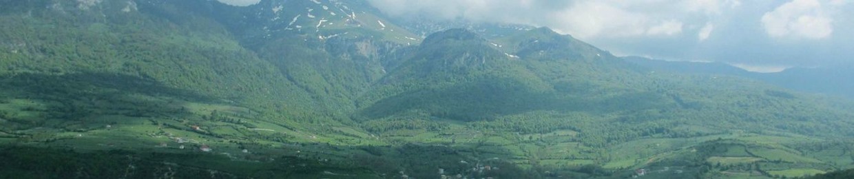 Mehdi Rajabi