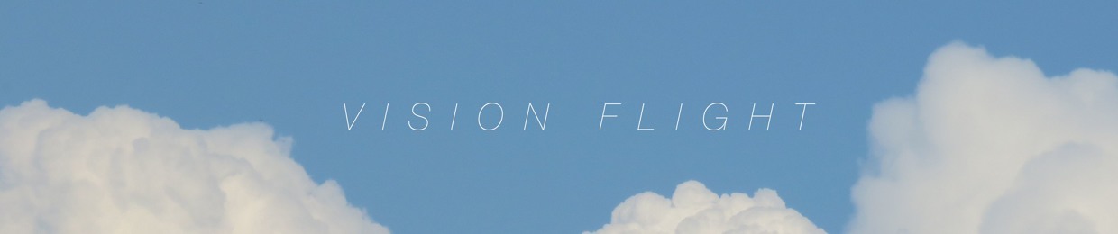 Vision Flight