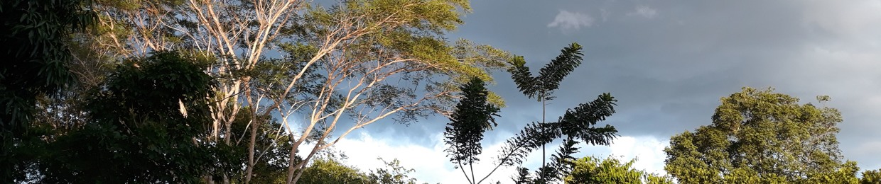Paresha